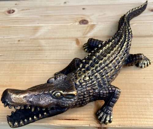Krokodil echse bronze - cm,
