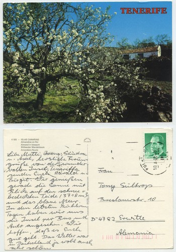 49156 blühender mandelbaum - -,