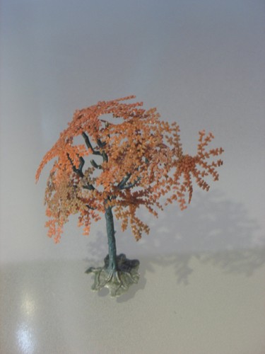 Rotbuche vollplastisch - █►,