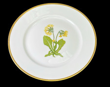 Nymphenburg Teller Blume Rudolf Sieck signiert Schlüsselblume  Ø20,5cm