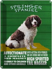 Blechschild 40x30 cm Springer