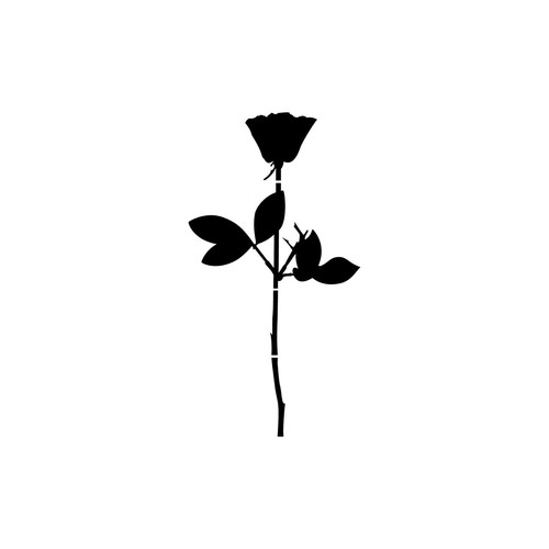 Rose 6cm schwarz handy - rose,