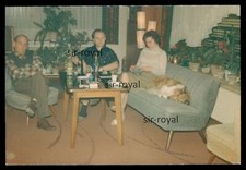 1967 - Collie Dog Sleeping On