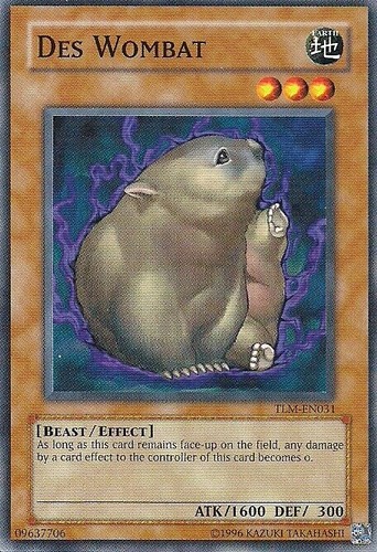 Tlm en031 des wombat aus - aus, the