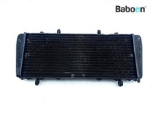 Kühler Wasserkühler Aprilia