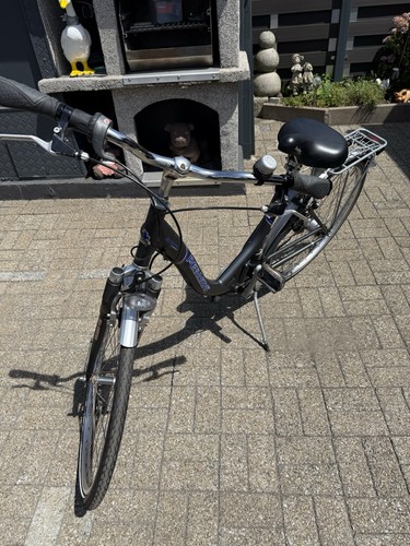 City fahrrad pegasus zoll - pegasus,