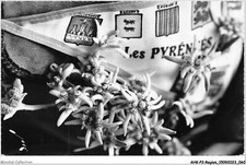 AHKP2-0100 - Region -