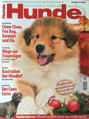 Das deutsche hundemagazin - das,