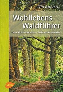 Wohllebens waldführer tiere - wohllebens, waldführer: