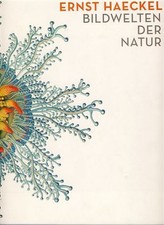 Ernst haeckel bildwelten der - haeckel.,