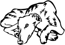 GALGO Aufkleber - Galgo Autoaufkleber - sticker - Galgo Windhund Kontur #00