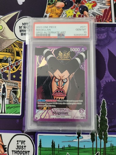 2023 one piece magellan - one, |