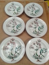 Villeroy Boch Botanica Suppenteller Preis Pro Teller Sehr Gut Erhalten