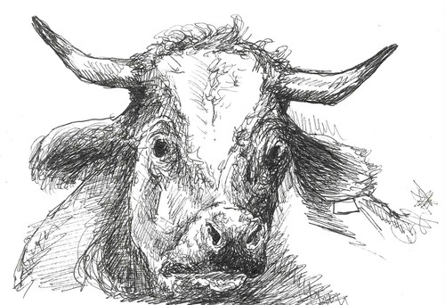 Tierporträt nach fotovorlage - tierporträt,