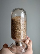 Antique Royal Garden Tea Store