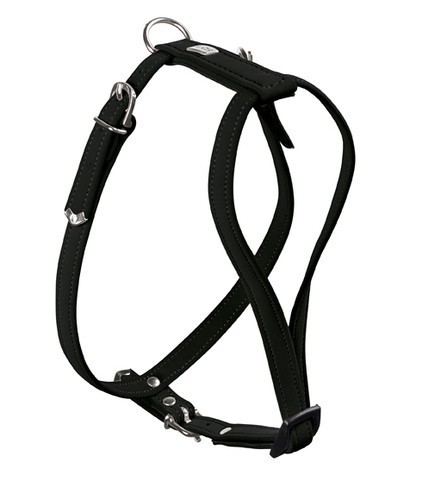 Neu hunter dog hunde - neu,