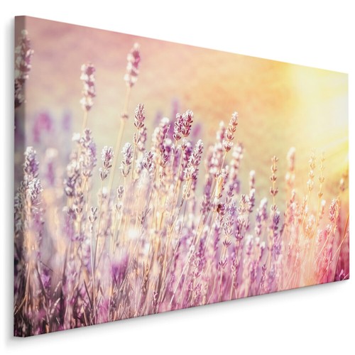 Canvas leinwand bilder xxl - canvas,