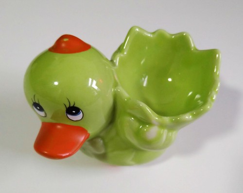 Funny duck - funny,