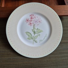 Florea floris - v&b,