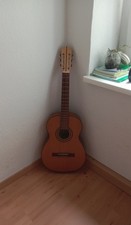 Perfectly Working Guitar