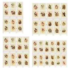 Paravent Sichtschutz