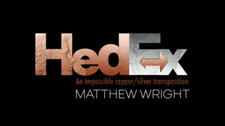 Hedex by Matthew Wright -