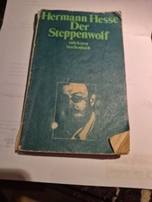 Der Steppenwolf von Hermann
