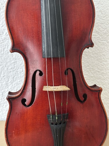 1095 alte violine - alte,