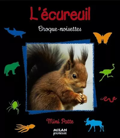 Ecureuil croque noisettes - :, croque-noisettes