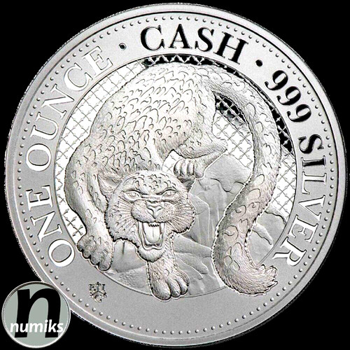 Schneeleopard snow leopard - /,