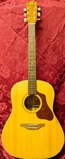 Vintage Gitarre / Flambeau