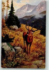 39527220 - Hirsch 12ender Egemes Serie 49 Nr. 1. Jagdtier 1914