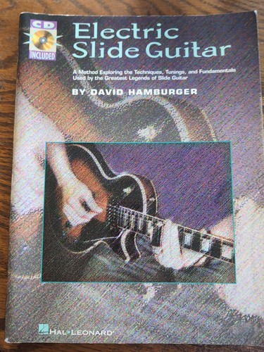 Elektrische slide gitarre - slide-gitarre, von