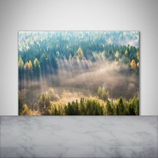 Küchenrückwand Spritzschutz