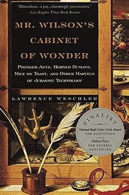 Wilsons cabinet wonder - mr,