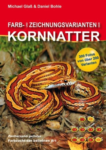 Farb und zeichnungsvarianten - und,