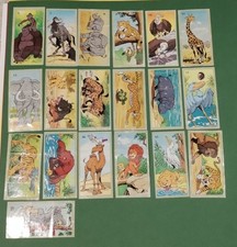 King Of Thr Jungle Dunkin