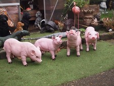 Schwein Deko Figur Ferkel lebensgroß wetterfest Gartenfigur NEU