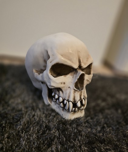 Orc schädel totenkopf - -, figur