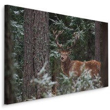 CANVAS Leinwand Bilder XXL