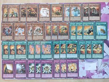 Yu-Gi-Oh! Eisenkern von Koa'ki Meiru Deck Sammlung Deutsch D1