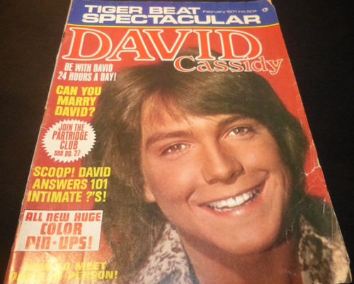 Tiger beat official - beat's,