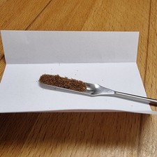 Platycerium superbum - Sporen (Farnsamen) mit Anleitung (deutsch oder englisch) 