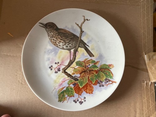 Vogel sammelteller - vogel,