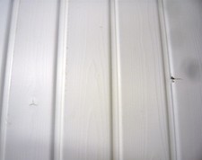 24,90€/ m² Rundkante Fichte Profilholz Profilbretter weiß deckend behandelt