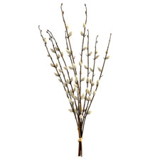 Künstlicher WEIDENKÄTZCHEN