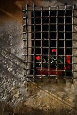 Schmiedeeisen Fenstergitter Barock Fassade Denkmalschutz Einheitspreise