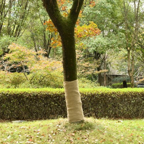 Jutegewebe gartenjute - jutegewebe,