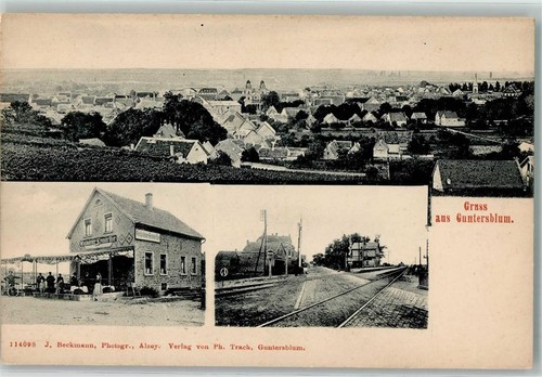 13436342 6524 guntersblum - 13436342,