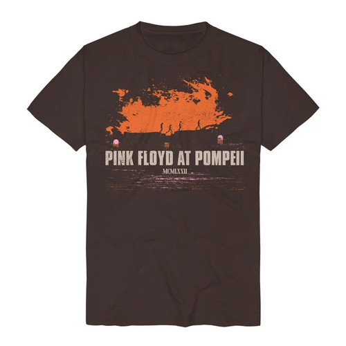 Pink floyd shirt herren - pink, t-shirt